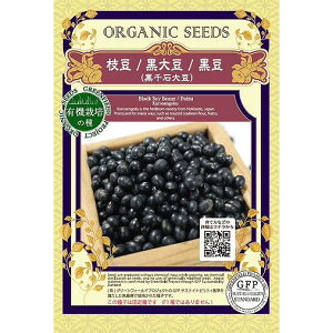 �y�I�[�K�j�b�N�̓��ށz�@�}���@���哤�@�����@����Α哤[A406]/����