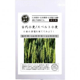 【オーガニックの豆類】古代小麦　スペルト小麦[A482]/小袋（15g）
