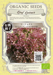 yI[KjbN̗t؁z[t^XibT@Tj[^Xn@ΐԍFj/