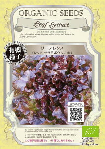 yI[KjbN̗t؁z[t^XibhT_{E@ԁj/