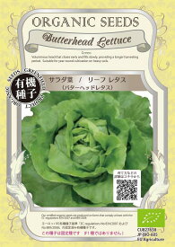 【オーガニックの葉菜】サラダ菜　リーフレタス（バターヘッドレタス）/小袋