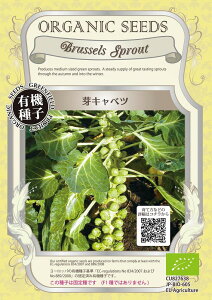 yI[KjbN̗t؁zLxc[A091]/