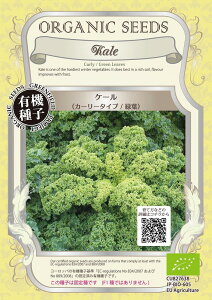 yI[KjbN̗t؁zP[iJ[[^Cv@Ηtj/