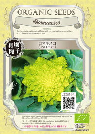 【オーガニックの葉菜】ロマネスコ（ベロニカ）/小袋
