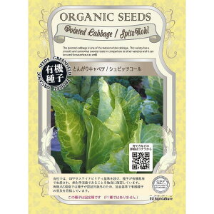 yI[KjbN̗t؁zLxc@Ƃ񂪂Lxc@VsbcR[kŒl[A460]/