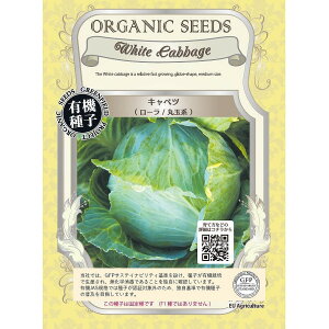 �y�I�[�K�j�b�N�̗t�؁z�L���x�c�@���[���ۋʌn�k�Œ��l[A461]/����