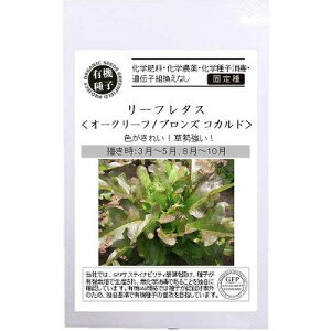 yI[KjbN̗t؁z[t^X I[N[t uYRJhkŒl[A589]/܁i180j