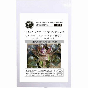 yI[KjbN̗t؁zC^X ~juYbh I[KjbNybgkŒl[A549]/܁i35j