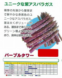 yAXpKXzAXpKX@p[v^[knӔ_l/܁i8j