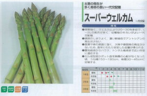 yAXpKXzX[p[EFJkziTJ^jl/20ml