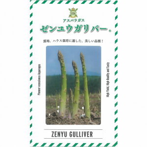 yAXpKXz[EKo[ [TiebNV[h 0455] /100