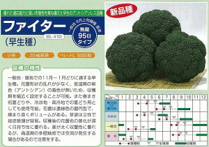 �y�u���b�R���[�z�t�@�C�^�[�k�u�����[�h�l/���܁i100���j