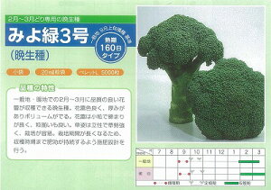 �y�u���b�R���[�z�݂��3���k�u�����[�h�l/����