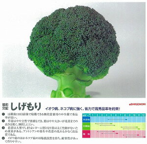 �y�u���b�R���[�z��������k���B���������݂��ǁl/���܁i1.2ml�j