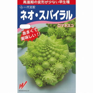 yJt[z}lXR@lIEXpCkzinӔ_jl/܁i20j