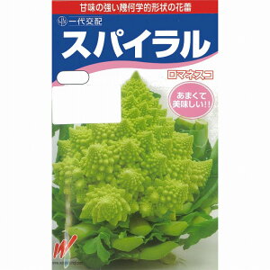 yJt[z}lXR@XpCkzinӔ_jl/܁i25j