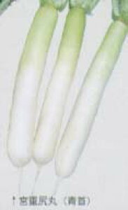 y_CRz{dKہkŒ0045l/