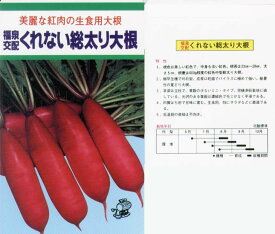 【ダイコン】くれない総太り2号大根〔福泉交配〕/小袋