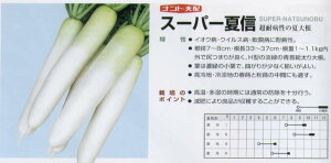 �y�_�C�R���z�X�[�p�[�ĐM�k�i���g��z�l/����