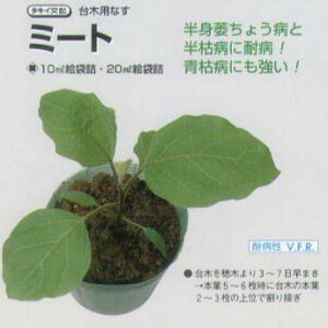 yؗpiziXp ~[gk^LCzl/1痱