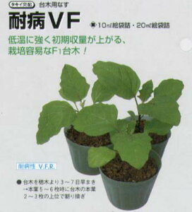 yؗpiziXp ϕaVFk^LCzl/1痱