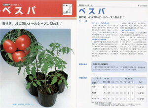 yؗpizg}gp xXpk^LCzl/1痱