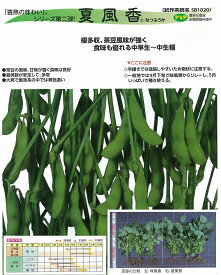楽天市場 枝豆 種 夏風香の通販