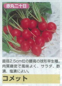 �y��\���卪�z�R���b�g�k������l/����