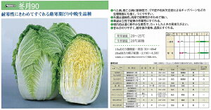 ynNTCz~90kTJ^zl/܁i0.9mlj