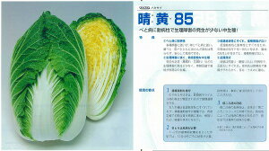 ynNTCz85k^LCzl/܁i0.8mlj