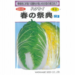 ynNTCzCR t̍ՓTkzl/(0.9ml)