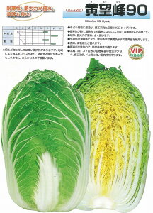 ynNTCz]90kJlRzl/܁i1.0mlj