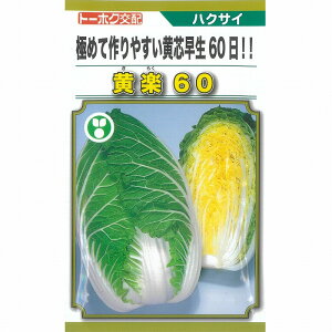 ynNTCzy60kg[zNzl/܁i1mlj