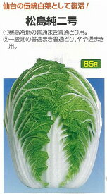 【ハクサイ】松島純二号〔固定種〕/20ml