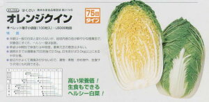 ynNTCzIWNCk^LCzlso^i햼FIWNCt/ybg