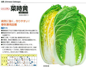 ynNTCz؎iKAH-601jkJlRzl/20ml