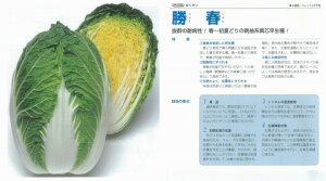 ynNTCztk^LCzl/