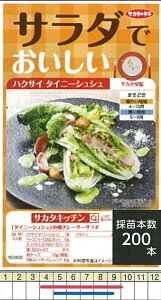 �y�n�N�T�C�z�T�J�^�L�b�`���@�T���_�ł��������@�n�N�T�C�@�^�C�j�[�V���V���k�T�J�^��z�l/����