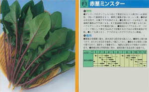 yzE\EzF1Ԍs~X^[kz0047l/