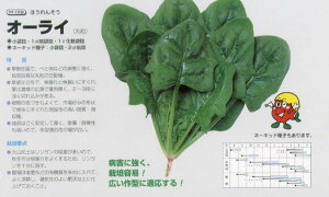 yzE\EzI[Ck^LCzl/܁i22.0mlj