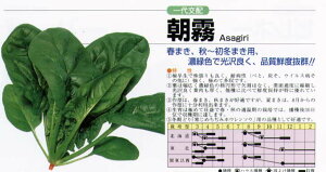 yzE\EzkzknӍ̎ll/܁i46mlj