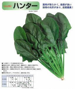 yzE\Ezn^[kJlRzl/܁i32.0mlj