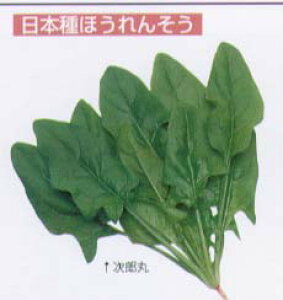 yzE\EzYہkŒ0061l/܁i50mlj