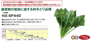 yzE\EzXeCV[iNX-SP440jkzinӔ_jl/1dl