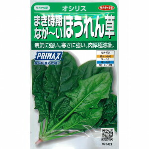 yzE\EzIVXkTJ^zl/PRIMAXi30mlj