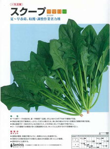 yzE\EzXN[vkziigjl/܁i20mlj