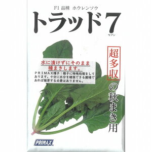 yzE\Ezgbh7kTJ^zl/M3PRIMAX