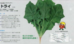 yzE\EzgCk^LCzl/܁i22.0mlj