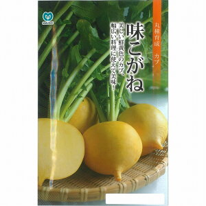 yJuzˁiMKB-599jkێ琬l/܁i1.8mlj