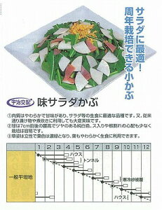 yJuzT_ԁkFzl/܁i1.5mlj